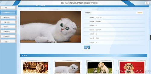 基于Vue與Flask的流浪動物管理系統(tǒng)的設計與實現