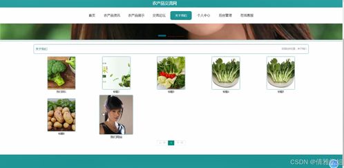 農產品交流網 基于Java的計算機畢業(yè)設計全流程探索